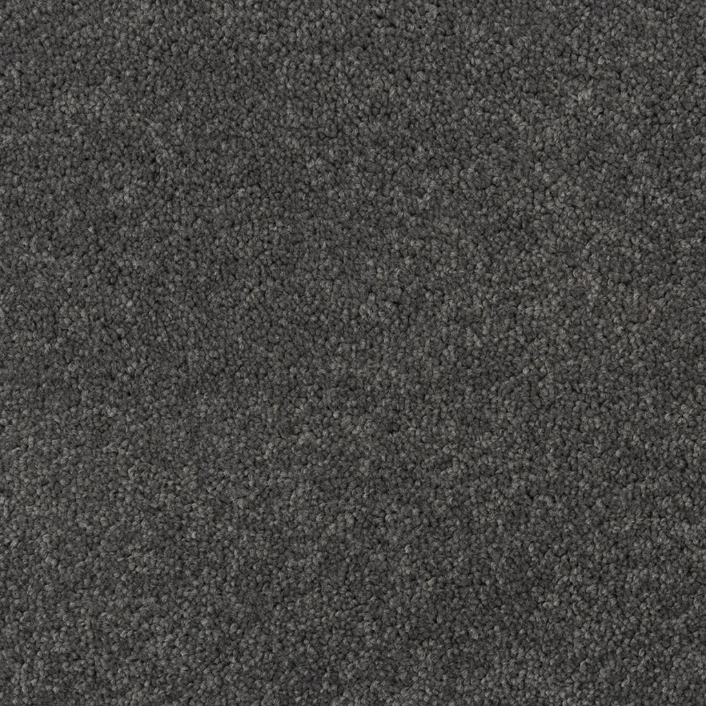 Quest Carpets - Bystander