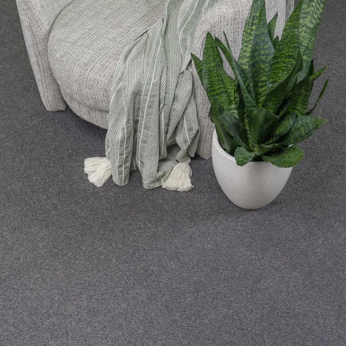 Quest Carpets - Nevada Charm