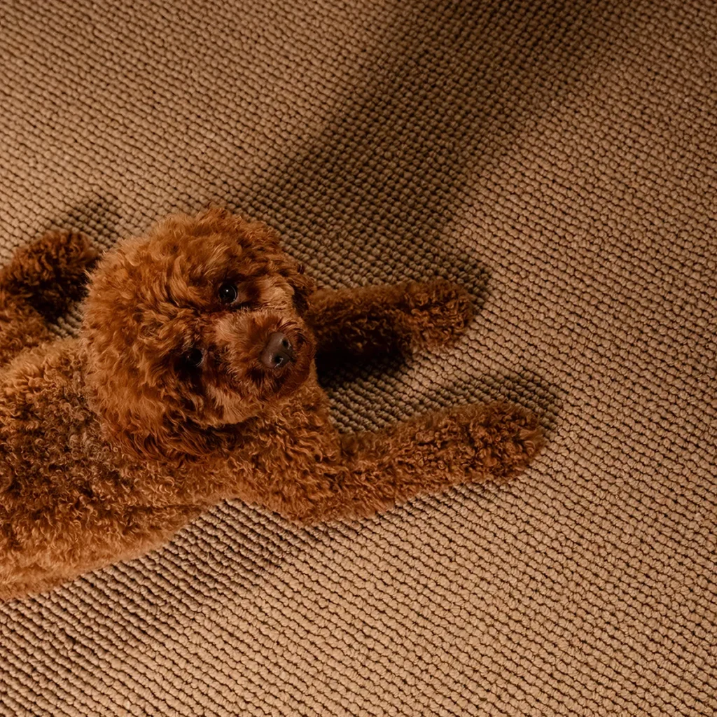 EC Carpets - Cotswolds